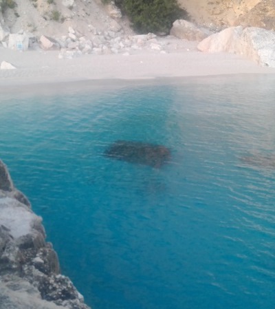 cala-mariolu-societa-guide-finale-selvaggio-blu