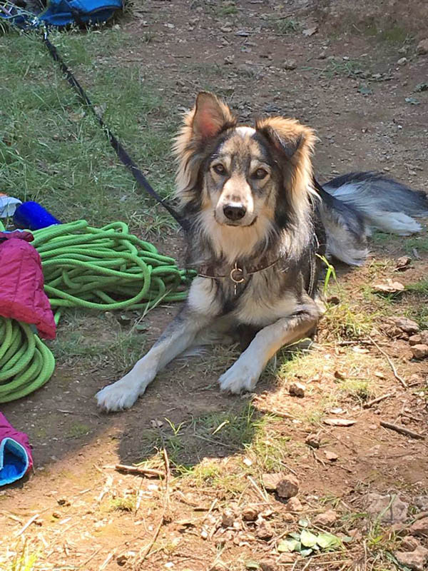 sgaf-società guide alpine finale-climbing-arrampicata-corsi-liguria-finale ligure-scalare-guide finale-baby climbing-arrampicata bambini-corsi per bambini-5